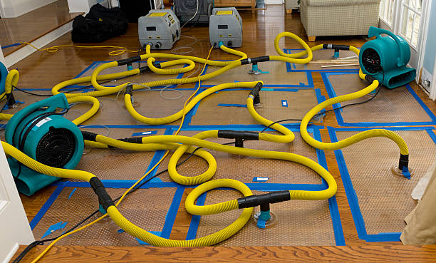 Professional Water Damage Restoration technician working in Mountain Lakes, NJ